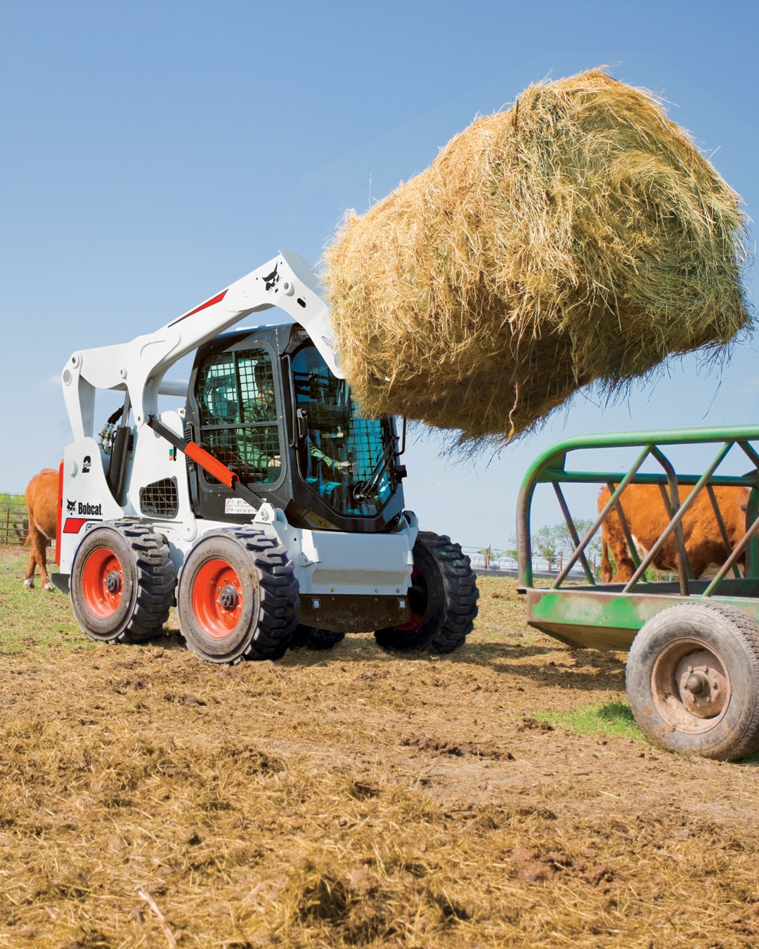 A Bobcat skid-steer loader is pictured lifting a large round bale of hay using a bale spear attachment. Set in an agricultural environment with cattle in the background, the image highlights the loader's efficiency and versatility for farming tasks such as feeding livestock and handling materials. Its compact size and manoeuvrability make it ideal for work in tight spaces, such as around farmyards and barns.