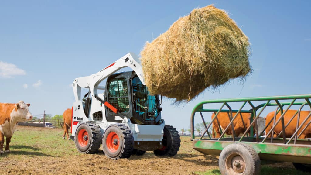 A Bobcat Skid Steer Loader equipped with a bale spear attachment lifting a large round hay bale to feed livestock in a paddock, surrounded by cows and a feeding rack under a clear blue sky.