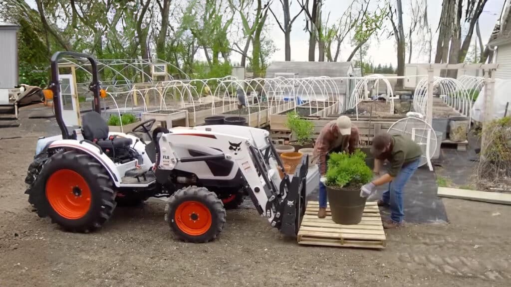 A Bobcat CT2040 Compact Tractor with pallet fork attachment assists two people moving a large potted plant onto a pallet in a greenhouse and nursery setting, showcasing its versatility in landscaping and horticulture tasks.