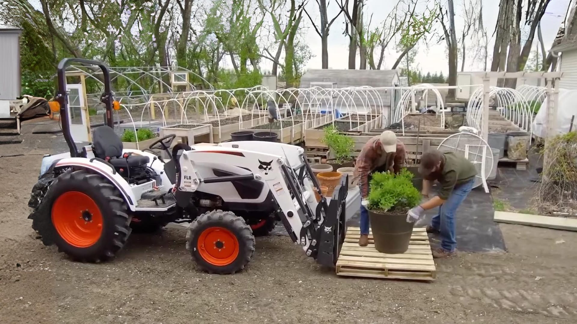 A Bobcat CT2040 Compact Tractor with pallet fork attachment assists two people moving a large potted plant onto a pallet in a greenhouse and nursery setting, showcasing its versatility in landscaping and horticulture tasks.