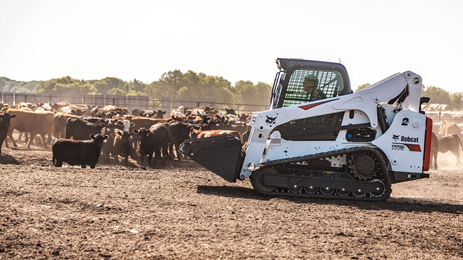A Bobcat T770 Track Loader working in a cattle yard, showcasing its versatility and rugged performance in agricultural settings.