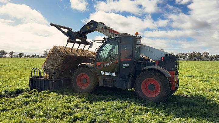 Bobcat TL38.70HF agricultural telehandler unloading square hay bales into feeder in paddock