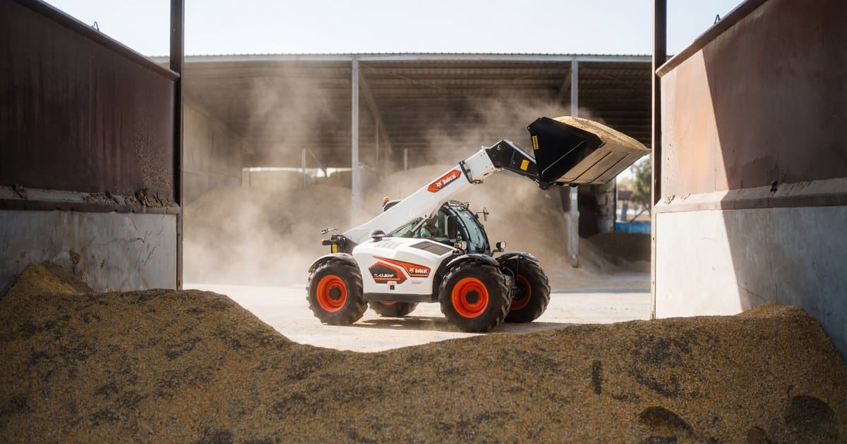 Bobcat TL43.80HF telehandler with commodity bucket raised, dumping grain inside a covered feedlot shed between concrete bunkers