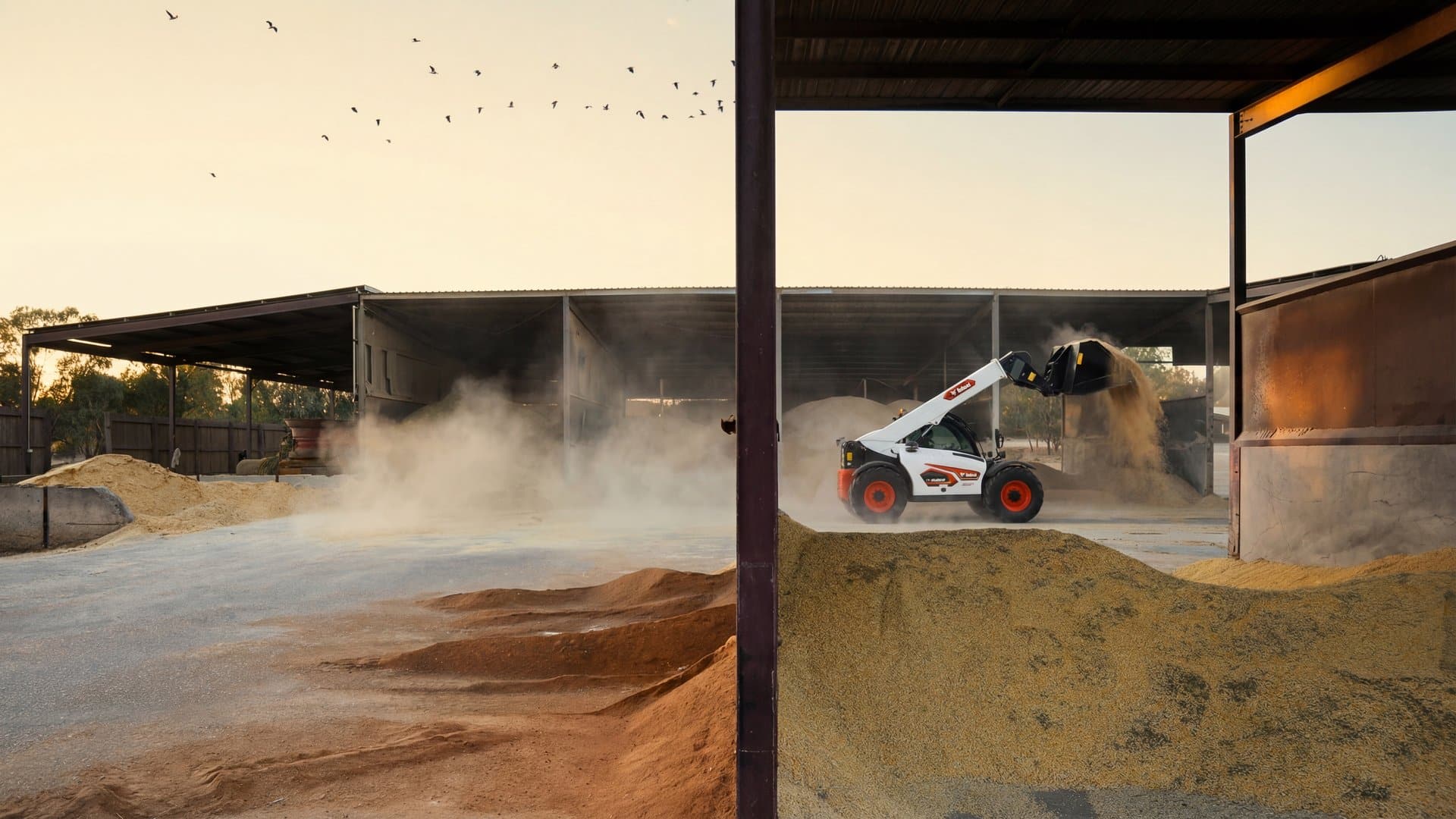 Bobcat TL43.80HF telehandler working between commodity sheds at sunset with dust cloud and birds overhead