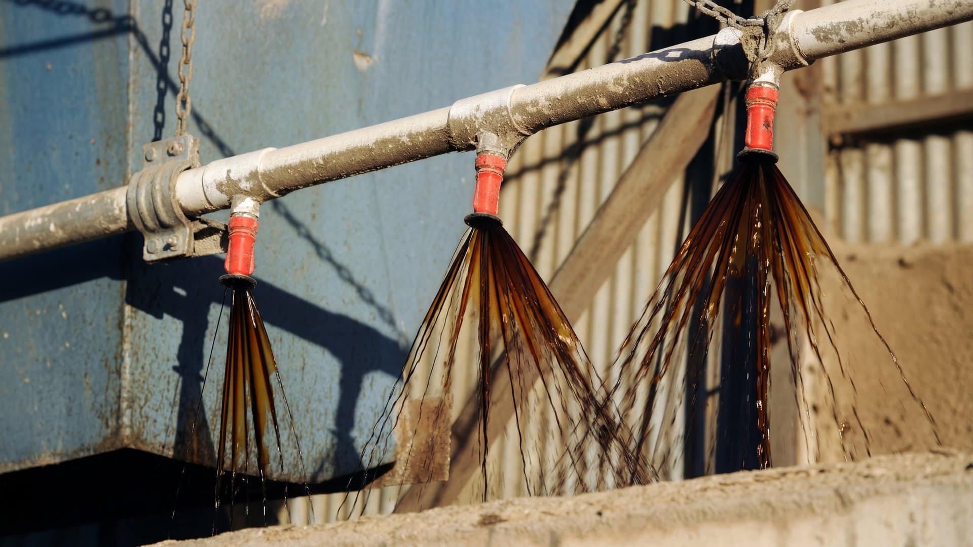 Molasses drip taps dispensing feed supplement at an Australian cattle feedlot